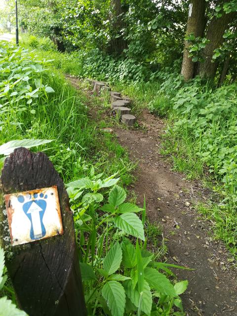 Barfußpfad inmitten des Spessarts