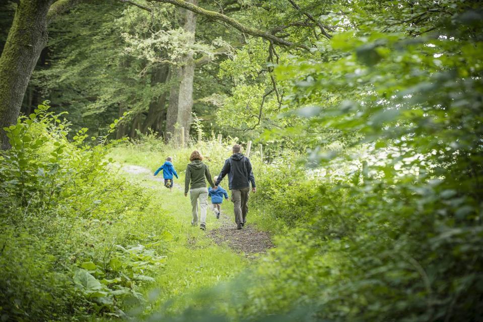 Familie spaziert durch den Spessartwald